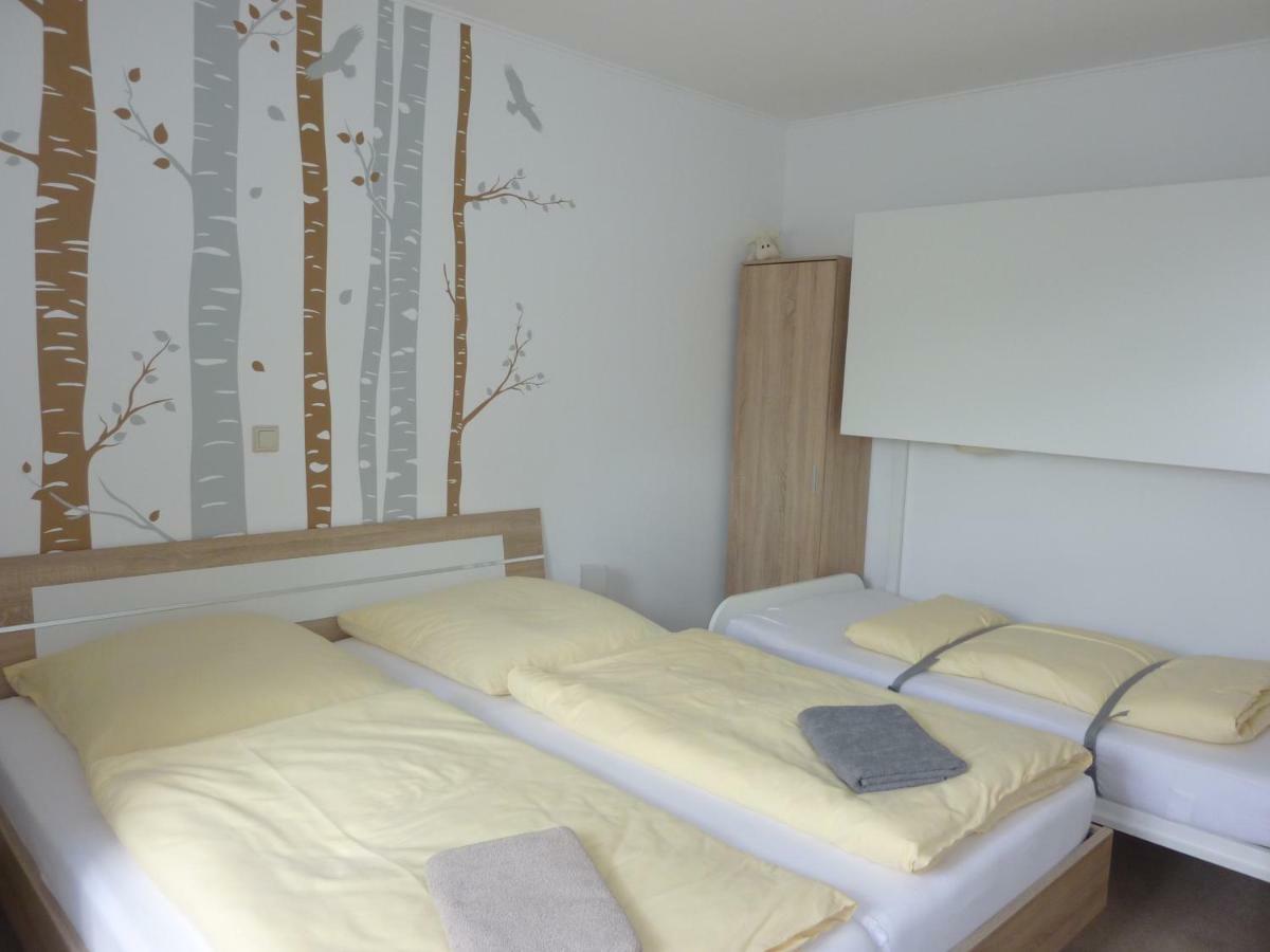 Ferienwohnung Edelmann Markersbach 外观 照片